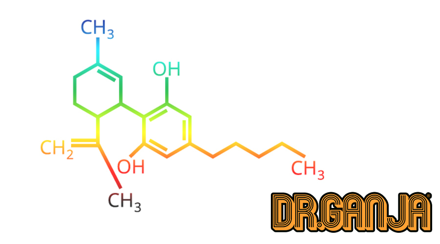 What is CBD, and how can it help? Maybe you’ve heard a little something about the many, many benefits of CBD. After all, it’s 2017. The world is finally realizing how awesome CBD is! We’re finally talking about hemp, and its close relative cannabis, and the ways that its extracts can give us a boost in day-to-day life.