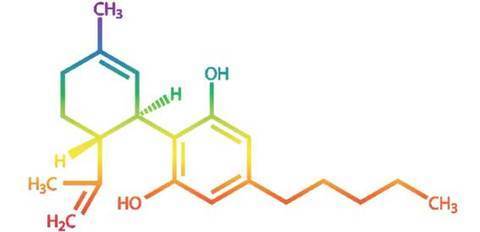 What is CBD and How can it help you?