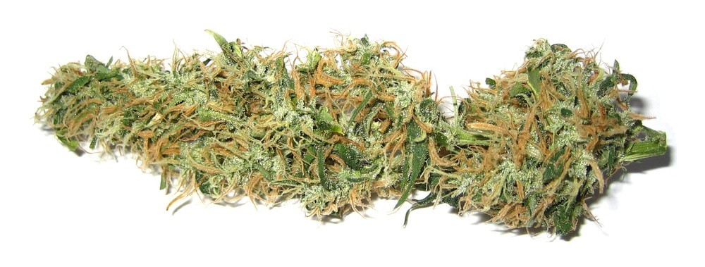 CBD Vs. THC: A Comparison Extracted from Cannabis Dr.Ganja