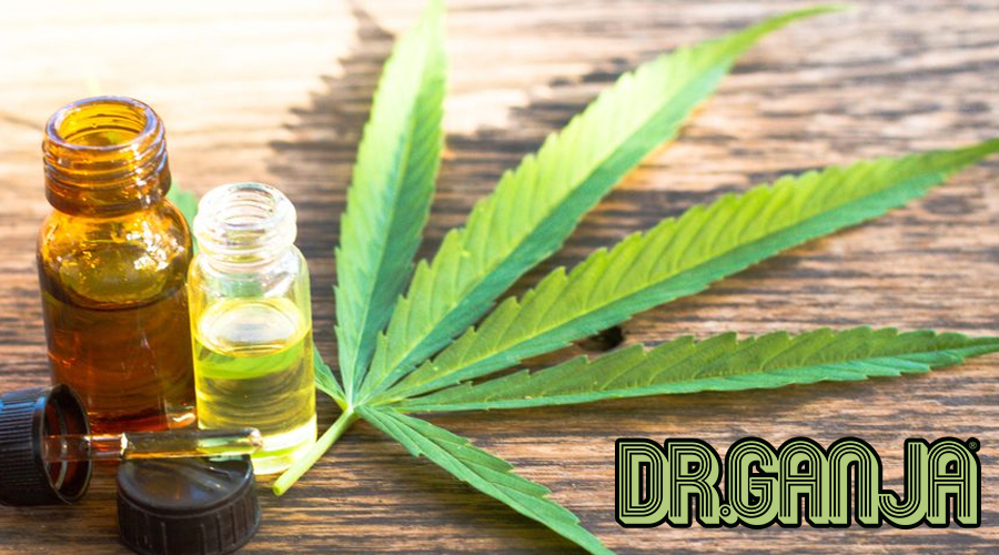 CBD Tincture Dr.Ganja