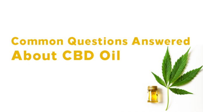 Frequently Asked Questions About CBD Oil