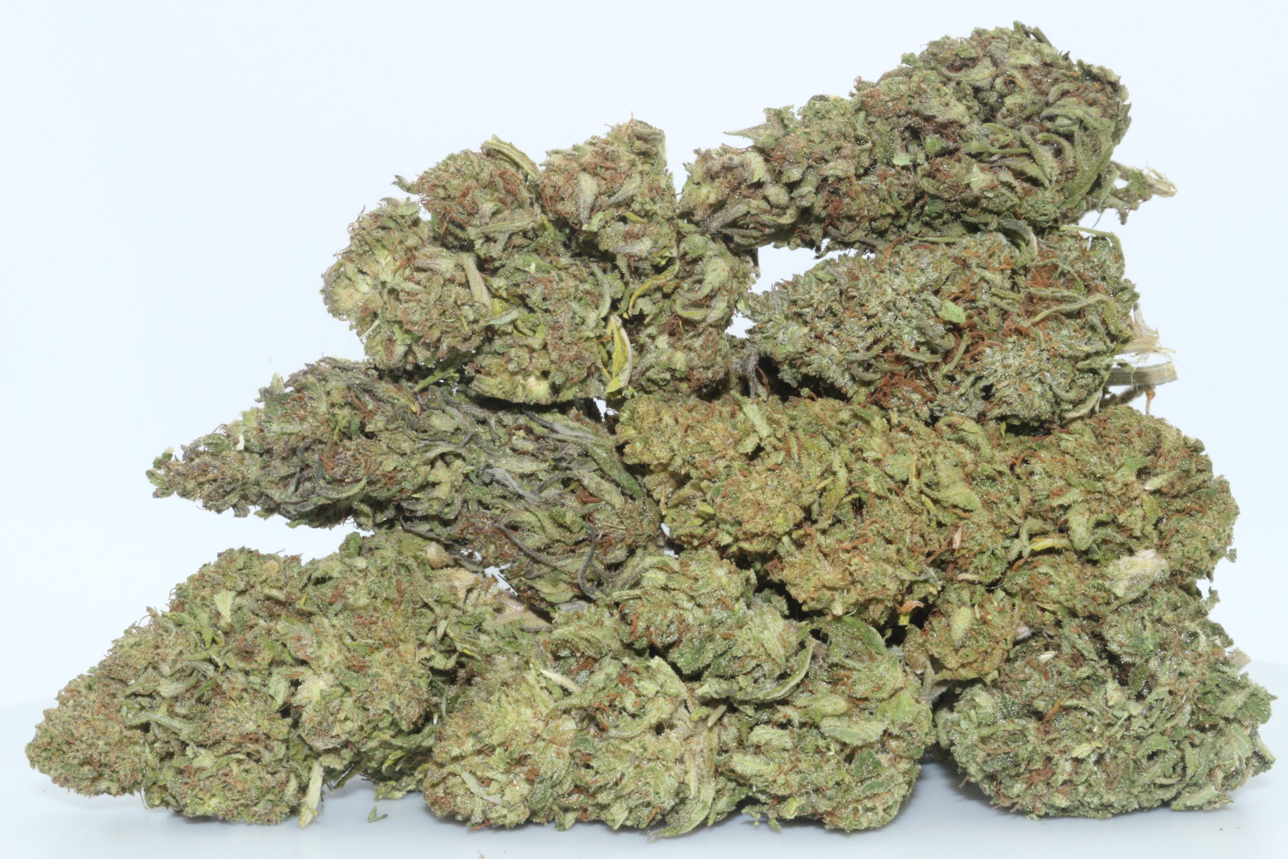 Dr.Ganja Elektra CBD Flower Dr.Ganja Elektra CBD Flower