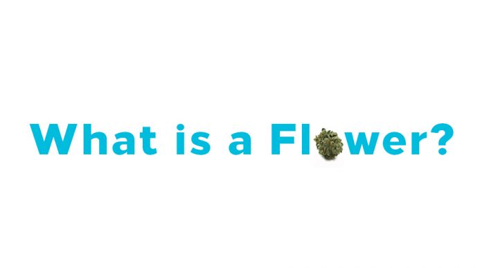 ​What is a Flower?