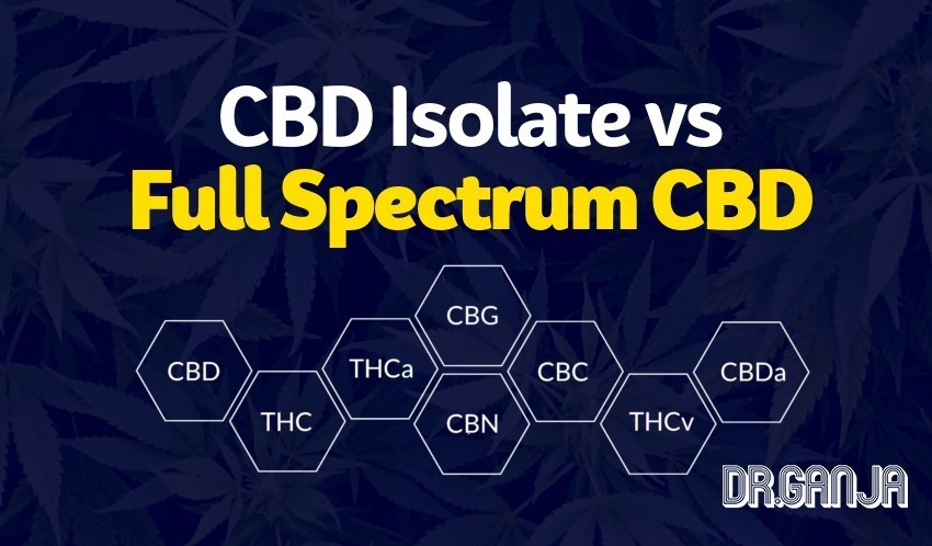 CBD Isolate vs. Full Spectrum CBD Dr.Ganja
