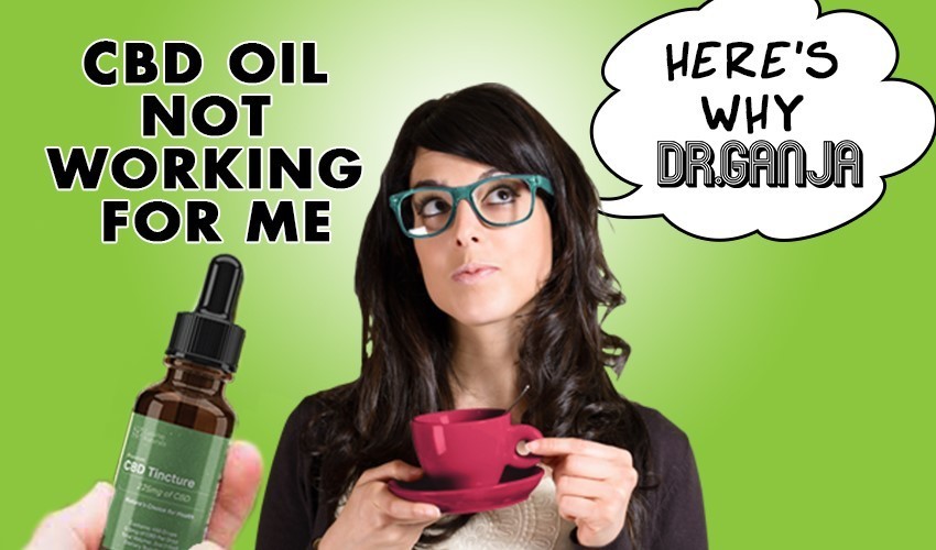 CBD Not Working? 5 Potential Reasons Why? Dr.Ganja