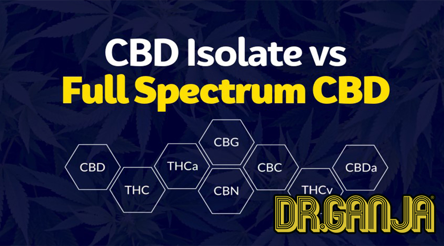 While browsing CBD products, you may have come across the terms “CBD Isolate” or “Full Spectrum.” With the amazing array of choices regarding CBD products that we have on Dr.Ganja, knowing exactly what you’re buying is crucial.