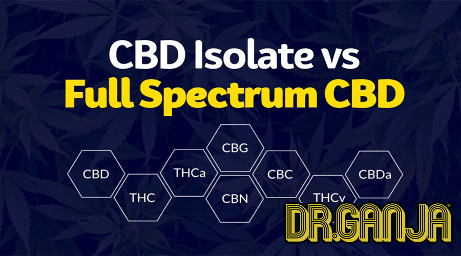 CBD Isolate Vs Full Spectrum CBD