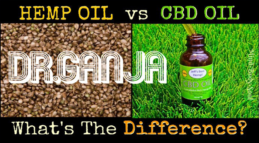 Hemp Oil Vs. CBD Oil What's the Difference