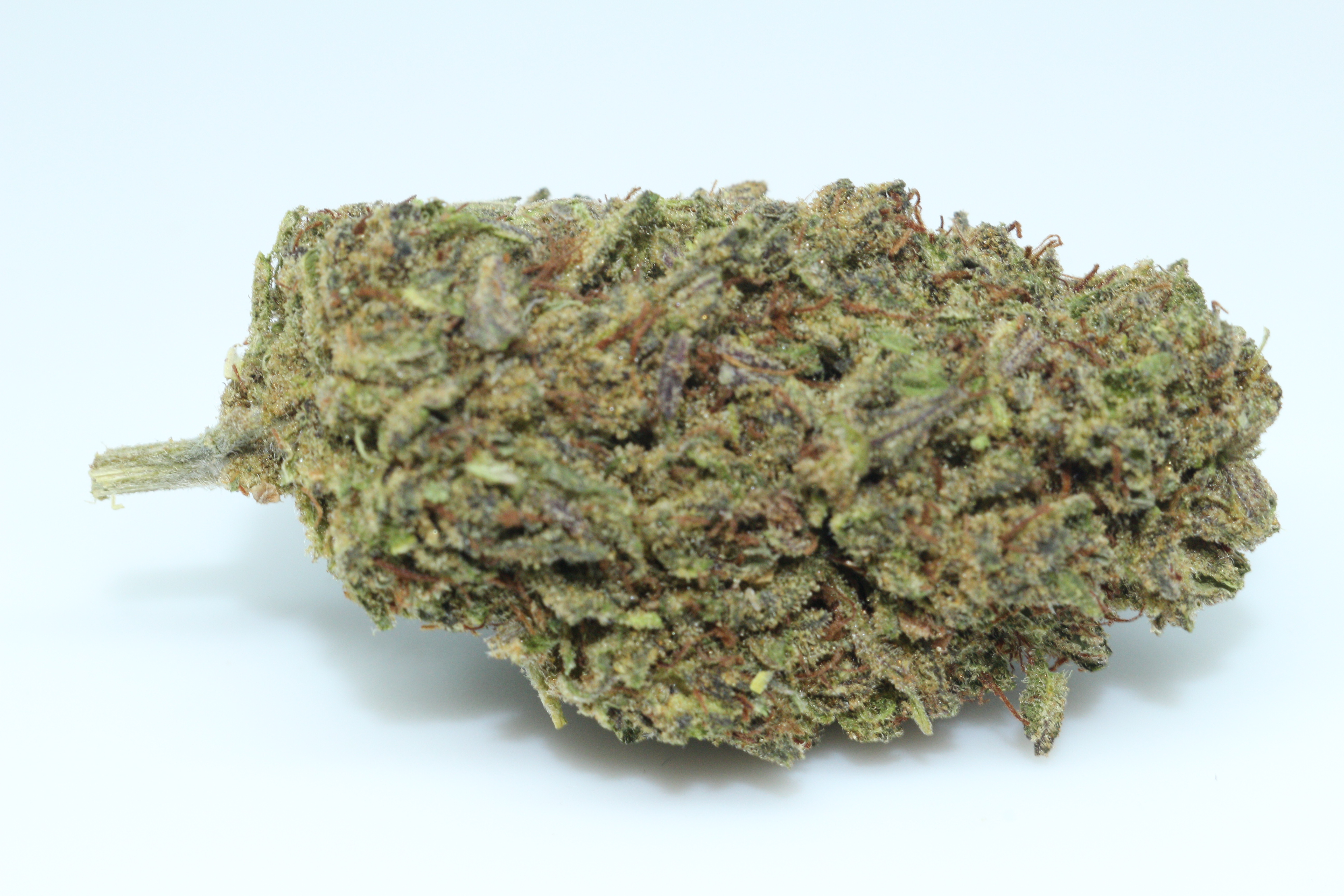 Tko Hemp My Evaluation On Mister Bud Jar Vs Tko Cbd Hemp Flower