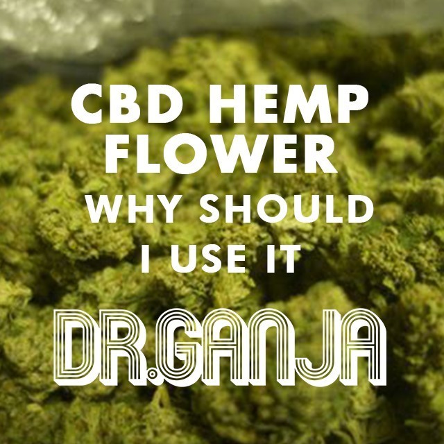 CBD hemp flower California. Now, if You’re a Smoker Dr.Ganja