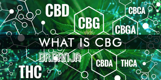 You’ve heard about CBD, but what about CBG?