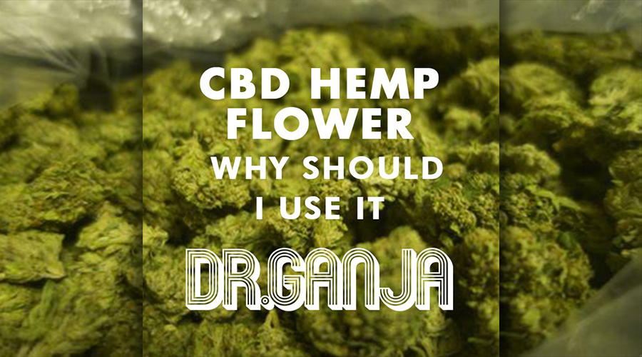 cbd flower