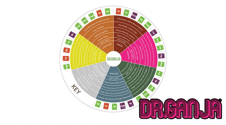 What Are Terpenes And What Do They Do?