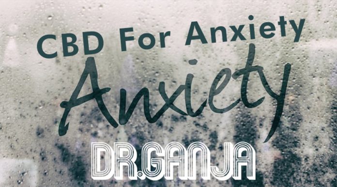 ​The Best CBD Products For Anxiety: Find The Option Right For You