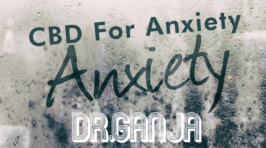 CBD For Anxiety