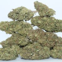 Dr.Ganja Sour Space Candy CBD Flower