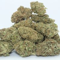 DrGanja Lifter CBD Flower