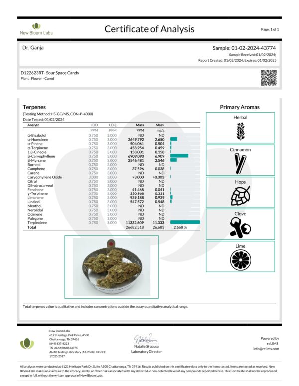 Sour Space Candy Terpenes Certificate of Analysis