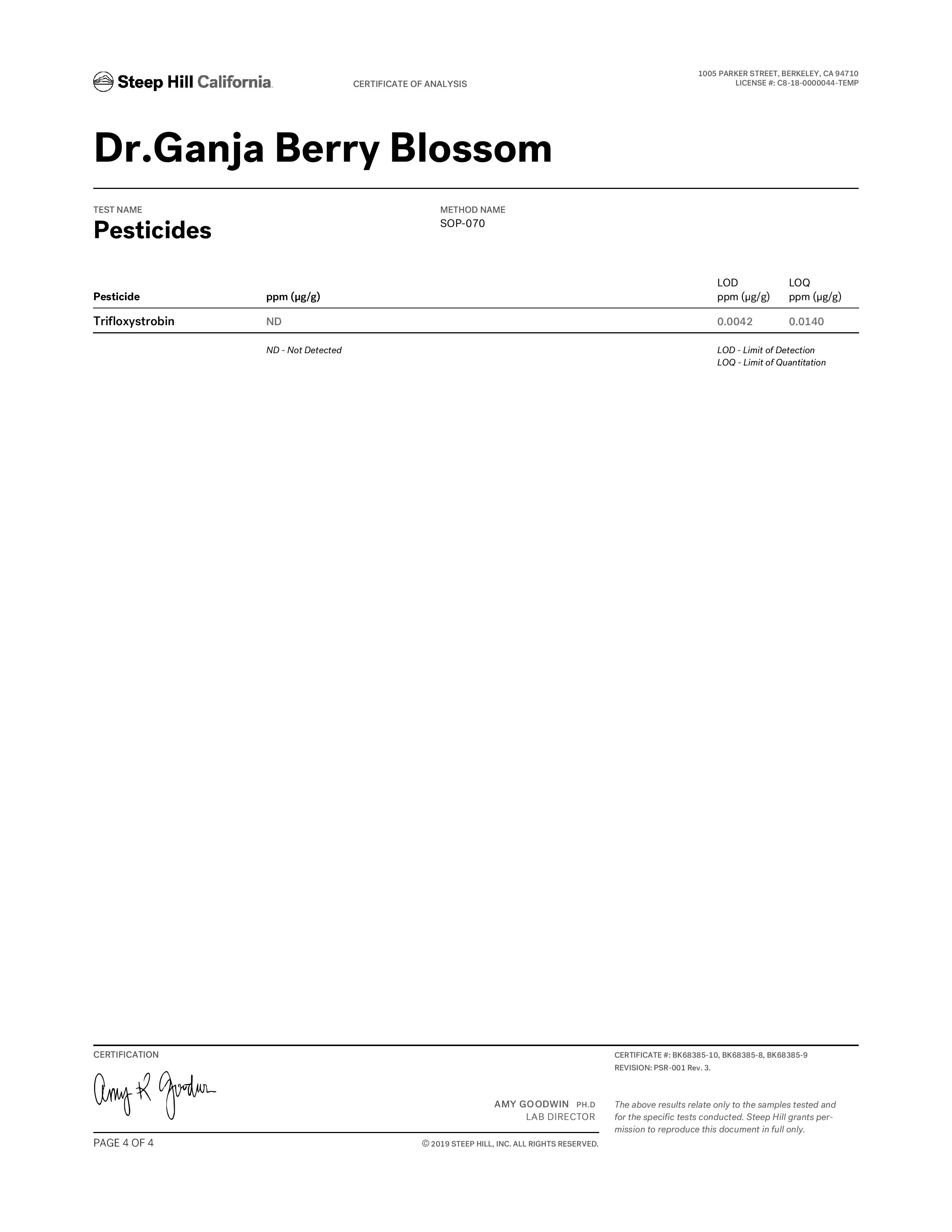 Berry Blossom Hemp Strain Powerful CBD Flower Dr.Ganja