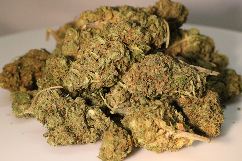 Sour Space Candy CBD Hemp Flower 11.38 CBD Dr.Ganja