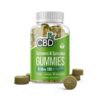 CBDfx CBD Gummies Turmeric Spirulina 1500mg 60ct