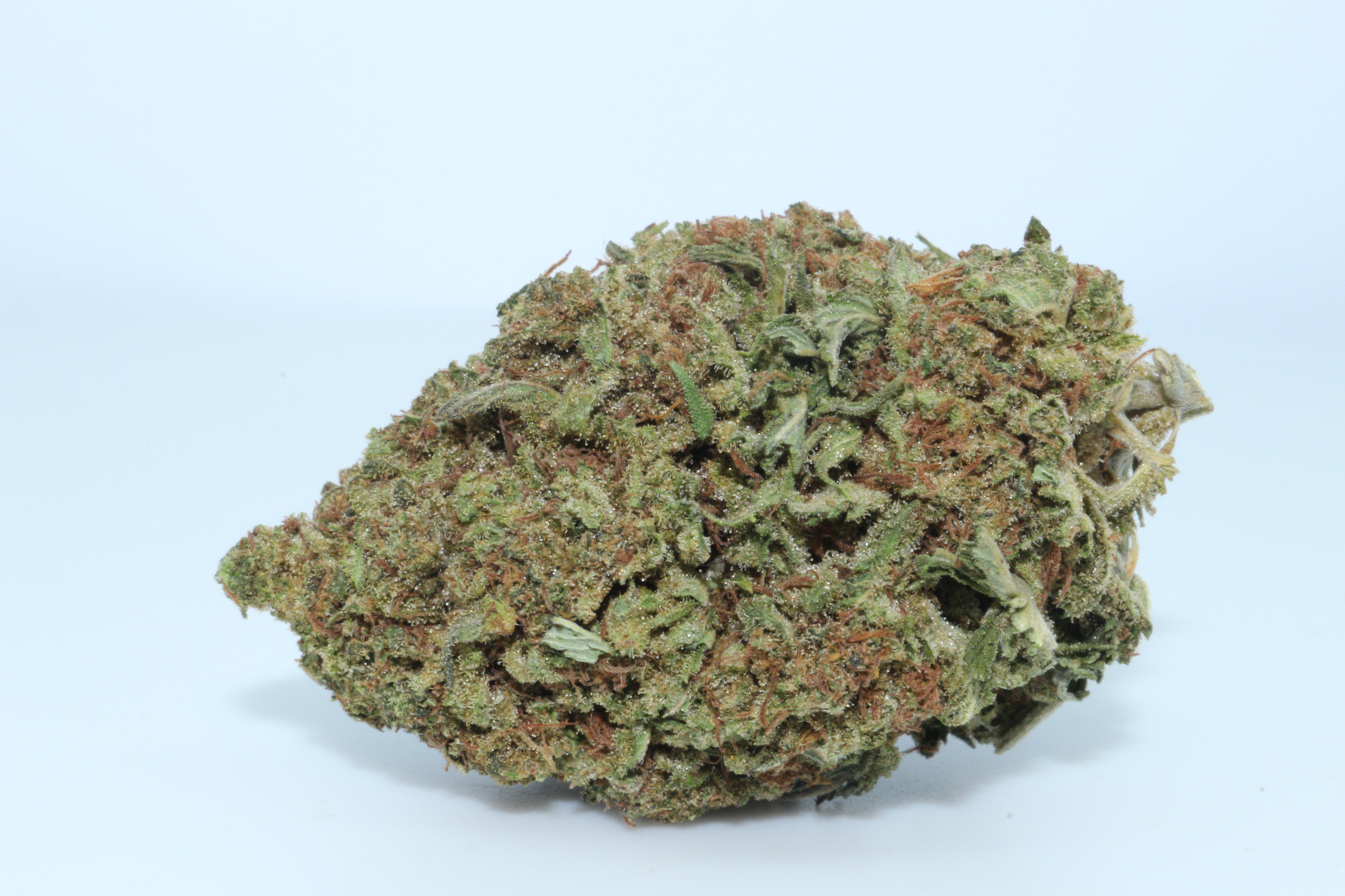 Bubba Kush CBD Hemp Flower Fast, Discreet Shipping DrGanja