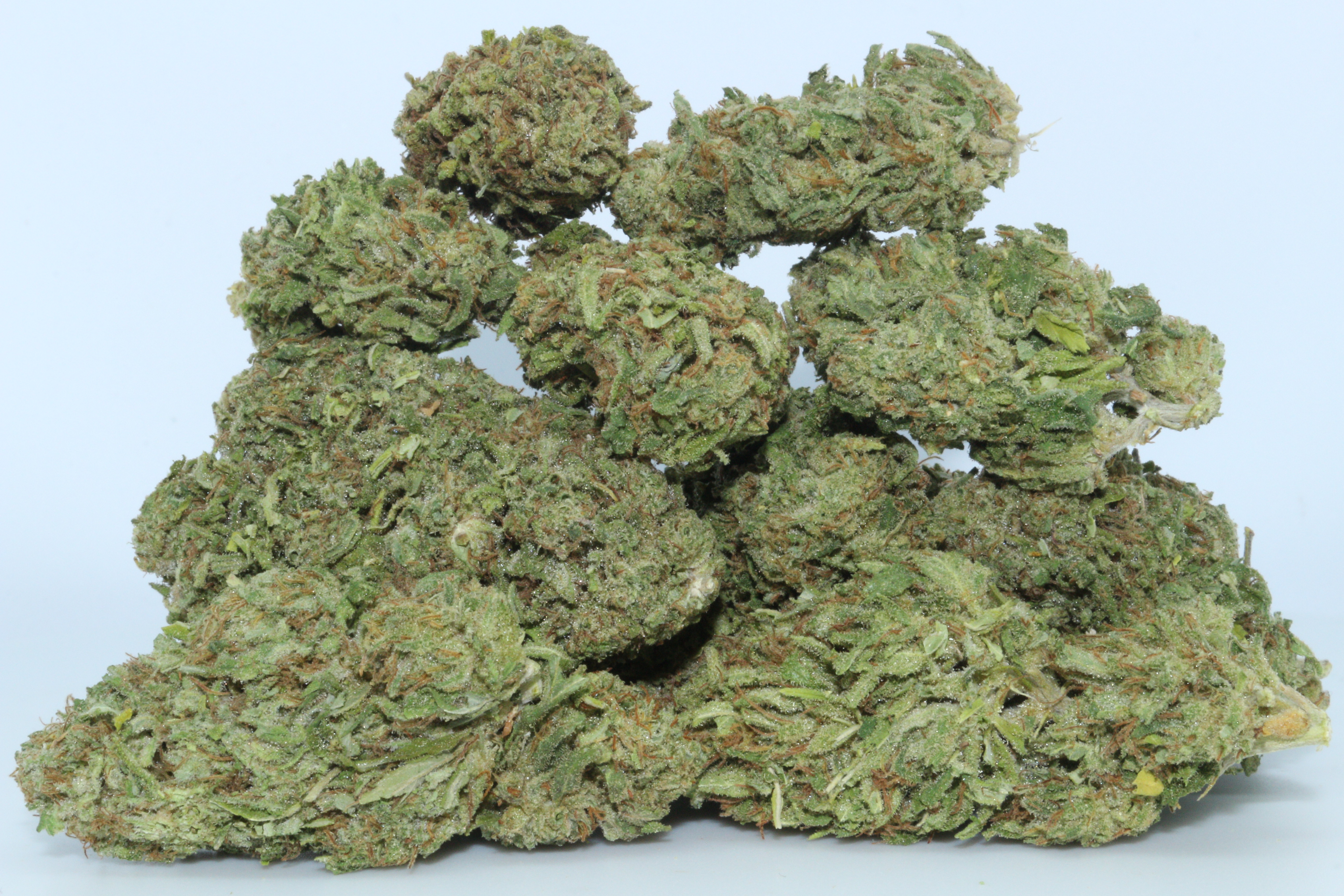 Hawaiian Haze CBD Flower High Quality Hemp Strain Dr.Ganja