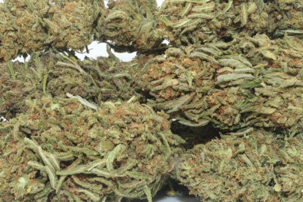 DrGanja Hawthorne Express Hemp Flower