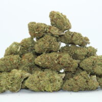 Hawaiian Haze CBD Flower