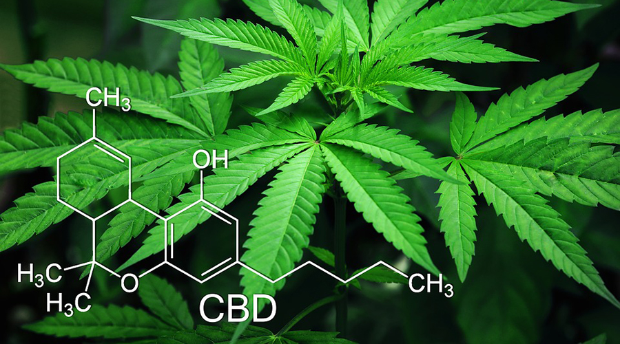 Best Way To Take CBD