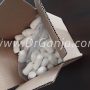 Dr.Ganja Shipping Box