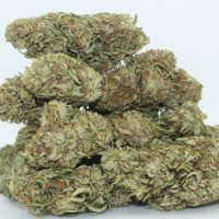 Dr.Ganja White CBG Flower