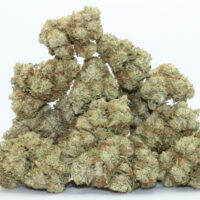The White CBG Flower