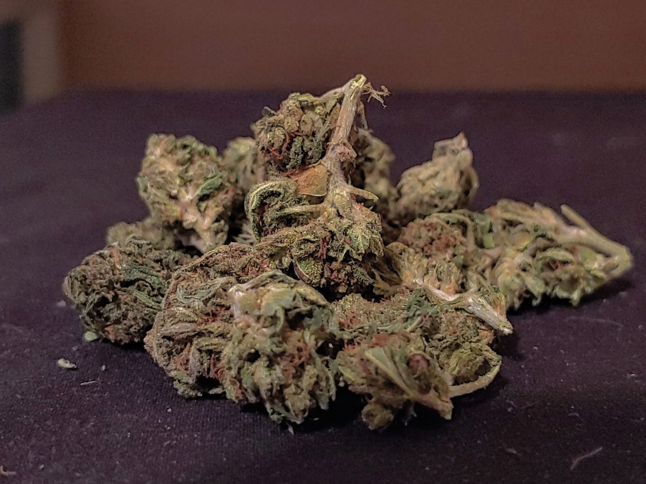 CBDawg CBD Flower For Sale Buy CBD Trimmer Flower Online