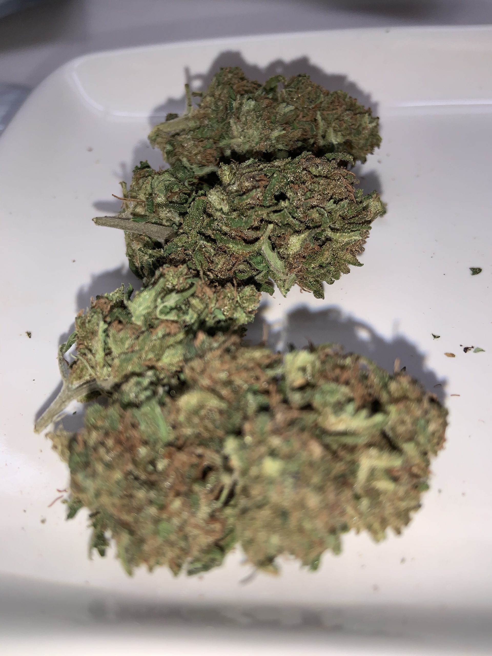cherry abacus strain cherry abacus strain