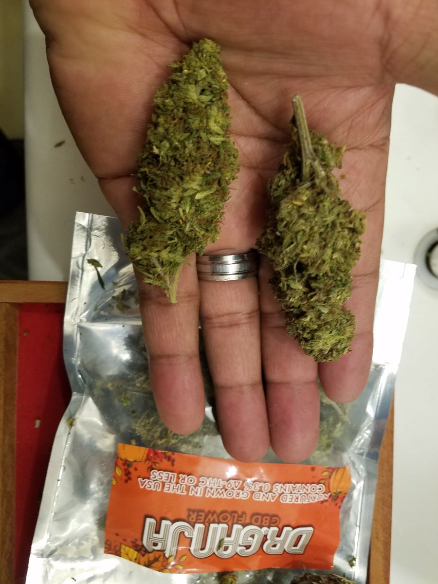 Image #16 from Dr.Ganja Customer