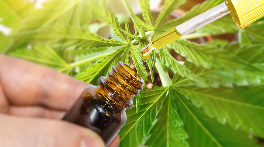 CBD Oil For Cancer