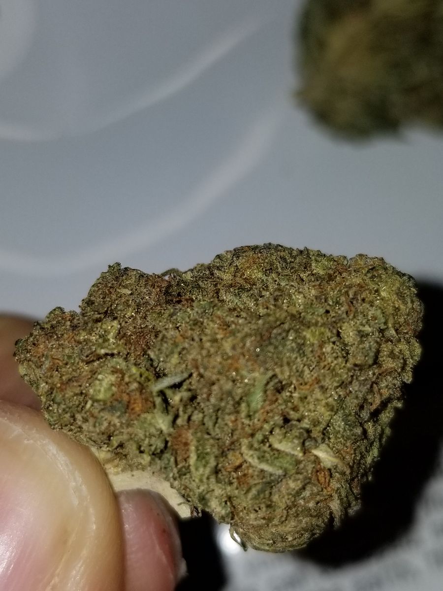 Image #47 from Dr.Ganja Customer