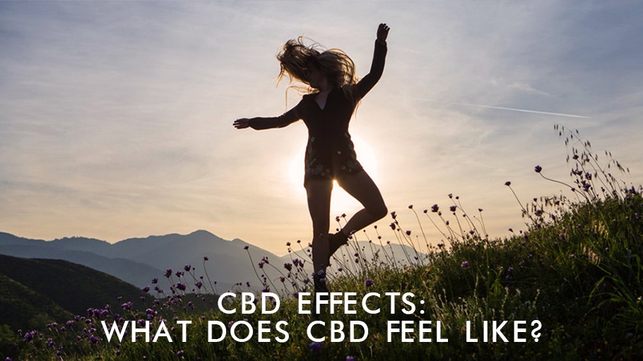 CBD Effects What Does CBD Feel Like