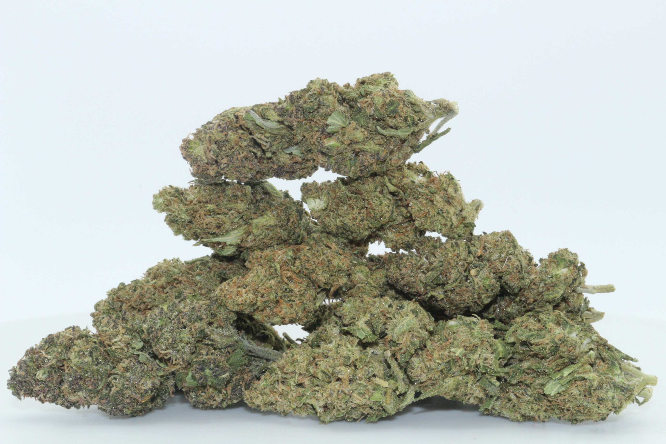 Dr.Ganja Sour Blueberry Kush CBD Flower Dr.Ganja Sour Blueberry Kush CBD Flower