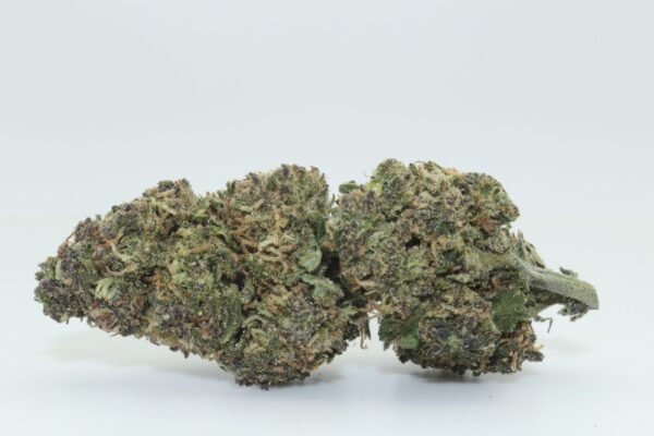 Dr.Ganja Sour Blueberry Kush CBD Hemp Flower