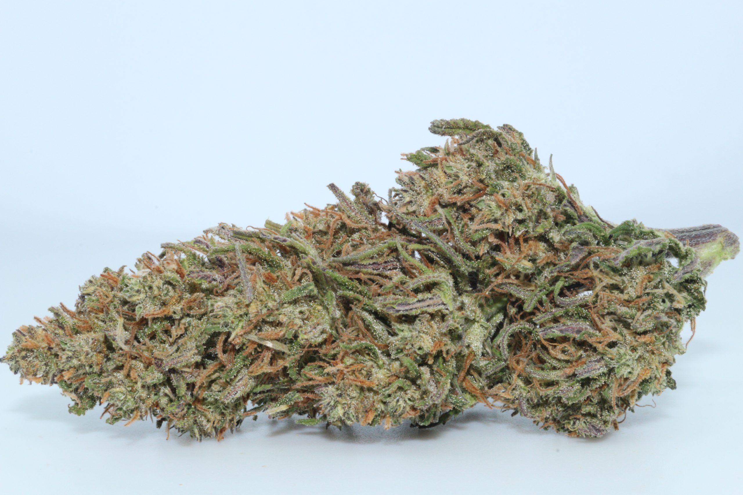 DrGanja-Berry-Blossom-CBD-Flower-scaled-1.jpg