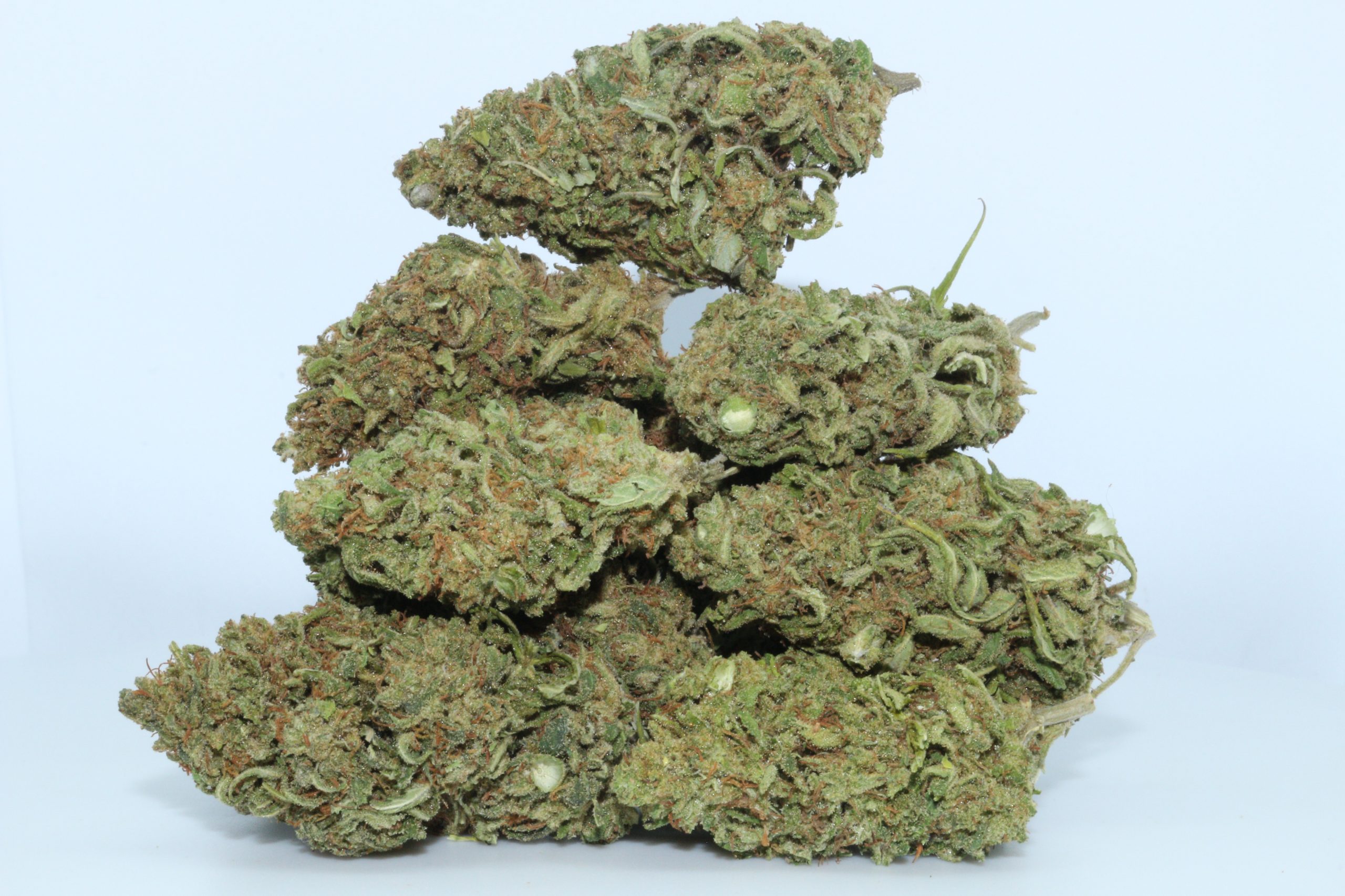 DrGanja-Hawaiian-Haze-Untrimmed-CBD-Hemp-Flower-scaled-1.jpg Hawaiian Haze CBD Flower Untrimmed
