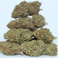 Kimber Kush CBD Flower