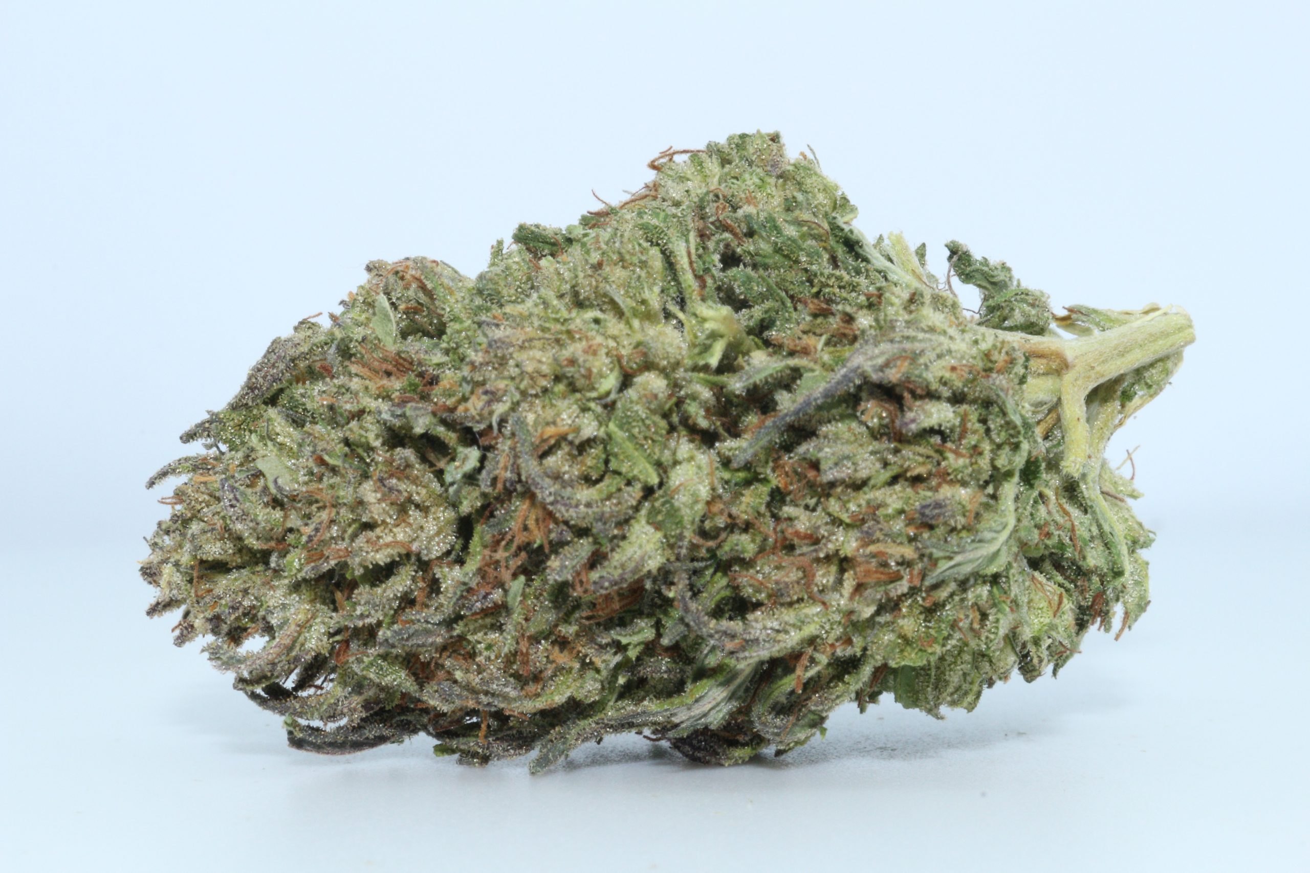 DrGanja-NY-CBDiesel-CBD-Flower-scaled-1.jpg