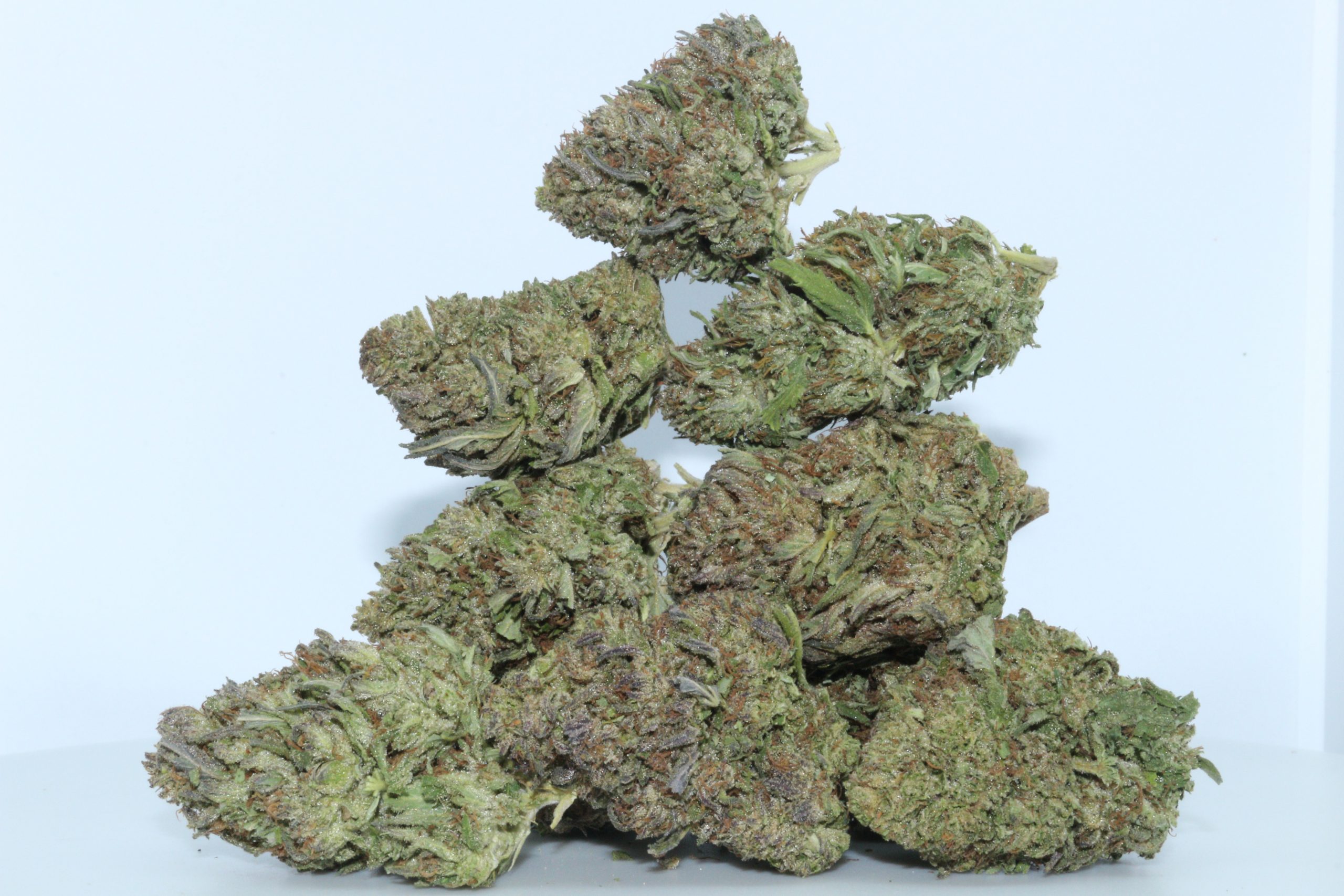 NY CBDiesel CBD Flower - Buy Trimmed CBD Flower For Sale