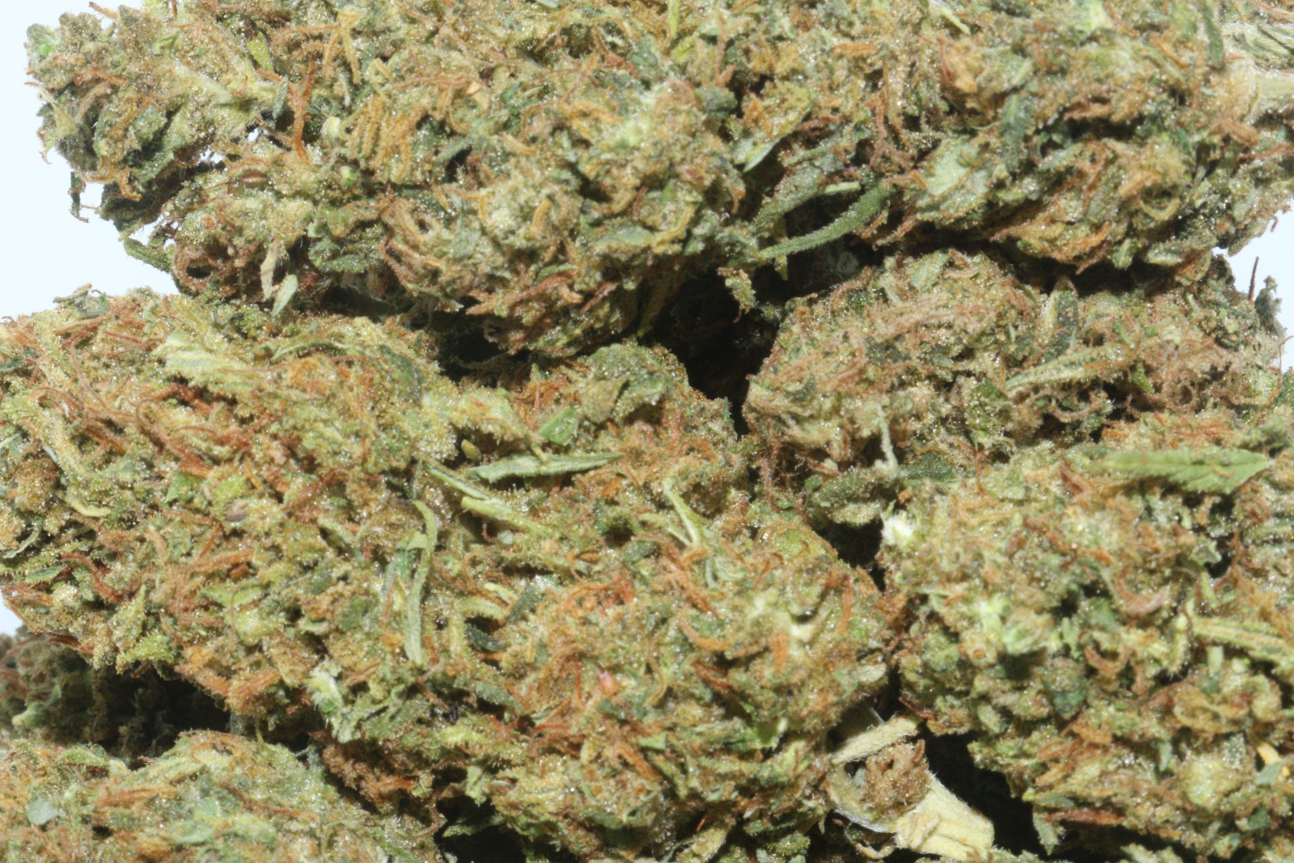 DrGanja Orange Creamsicle Hemp Flower DrGanja Orange Creamsicle Hemp Flower