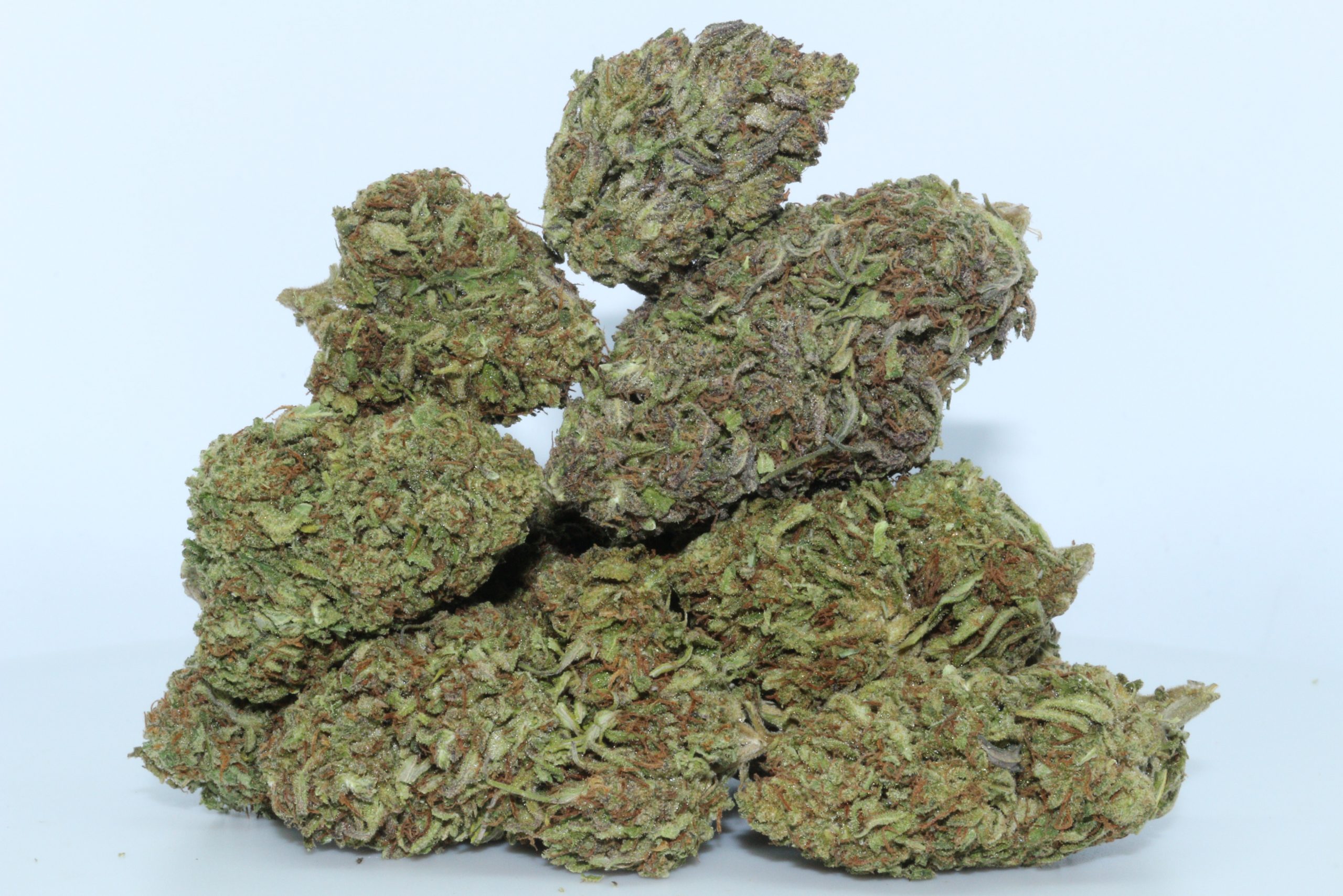 DrGanja-Pineberry-CBD-Flower-scaled-1.jpg Pineberry CBD Flower