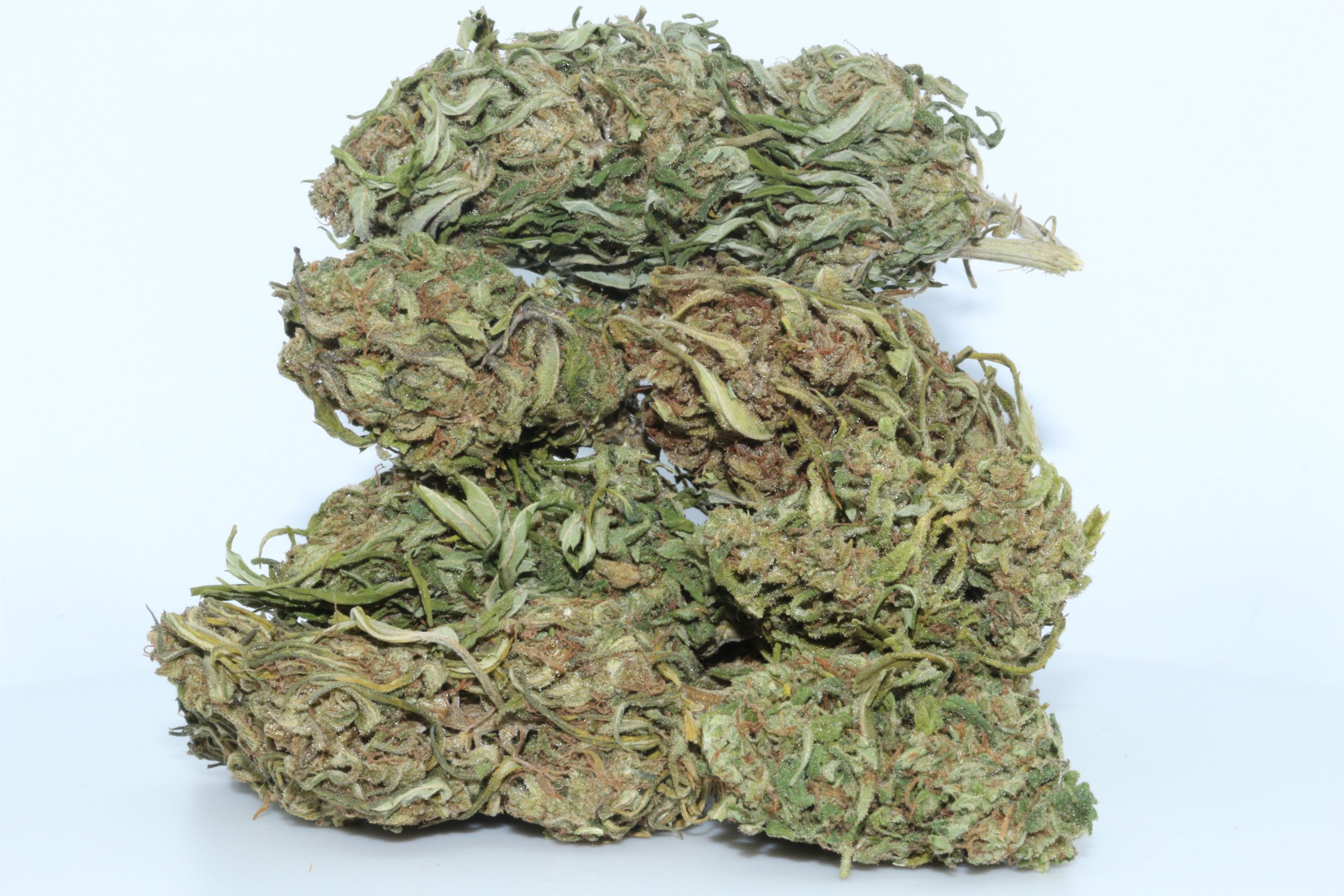 DrGanja-Sour-Space-Candy-Untrimmed-CBD-Hemp-Flower-scaled-1.jpg Sour Space Candy CBD Flower Untrimmed