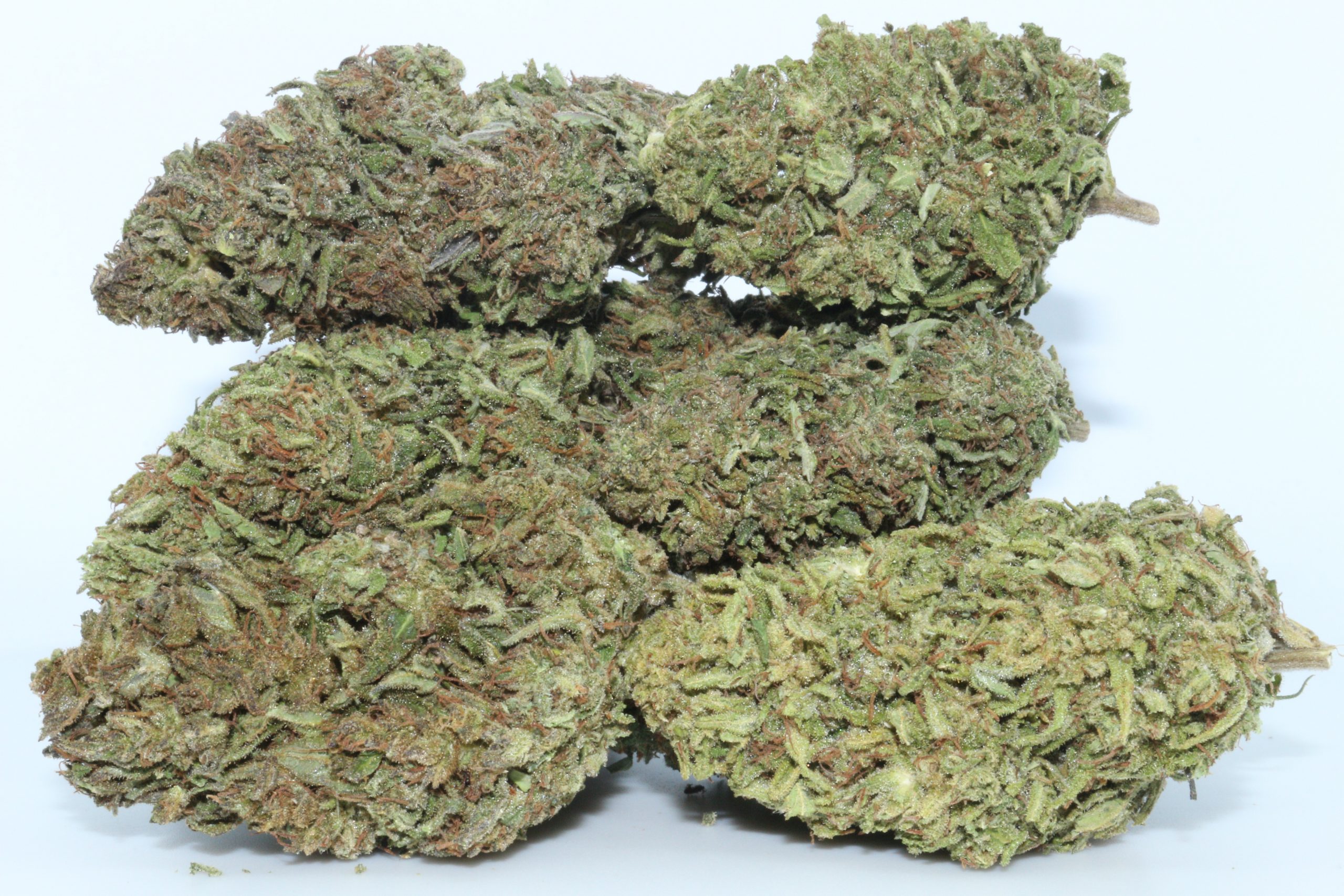 Suver Haze CBD Flower